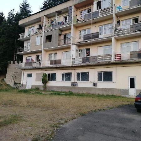 Alena'S Flat Apartment Borjomi ภายนอก รูปภาพ