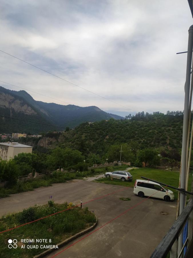 Alena'S Flat Apartment Borjomi ภายนอก รูปภาพ