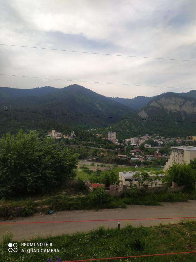Alena'S Flat Apartment Borjomi ภายนอก รูปภาพ