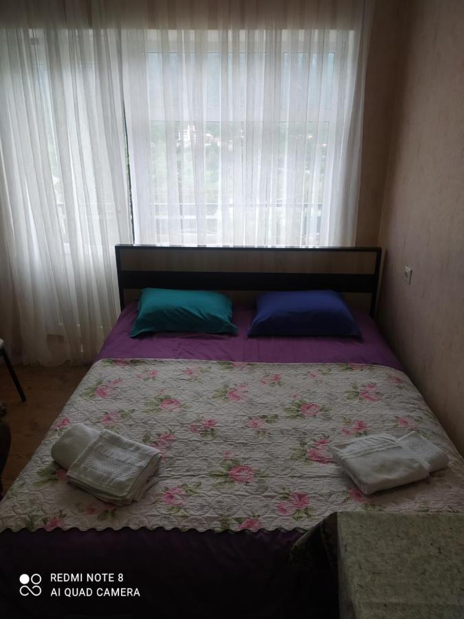 Alena'S Flat Apartment Borjomi ภายนอก รูปภาพ