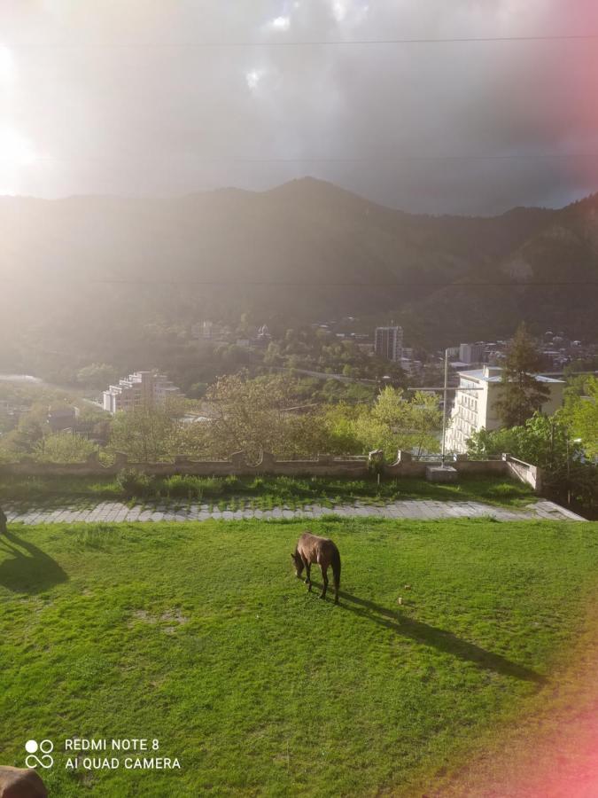 Alena'S Flat Apartment Borjomi ภายนอก รูปภาพ