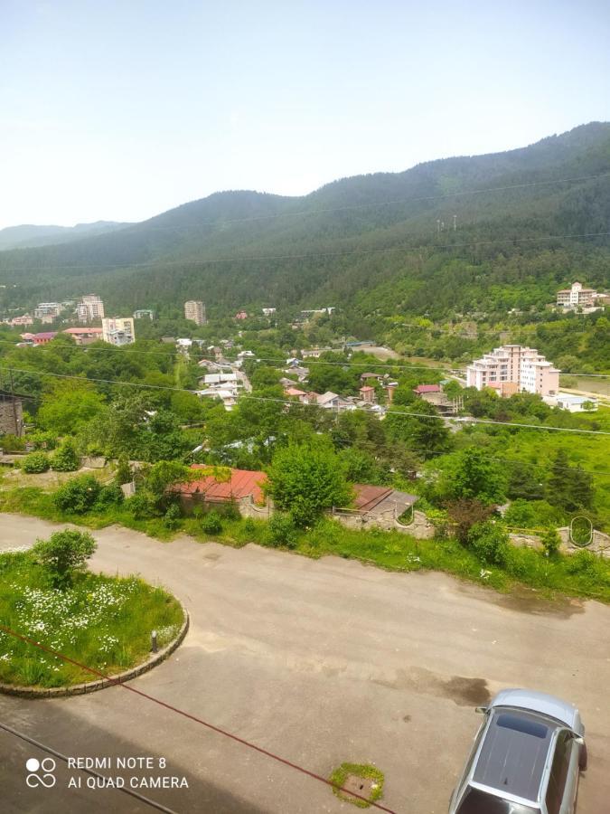 Alena'S Flat Apartment Borjomi ภายนอก รูปภาพ