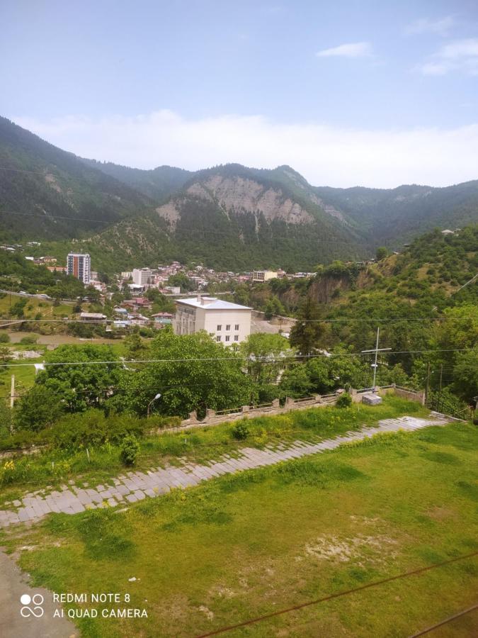 Alena'S Flat Apartment Borjomi ภายนอก รูปภาพ