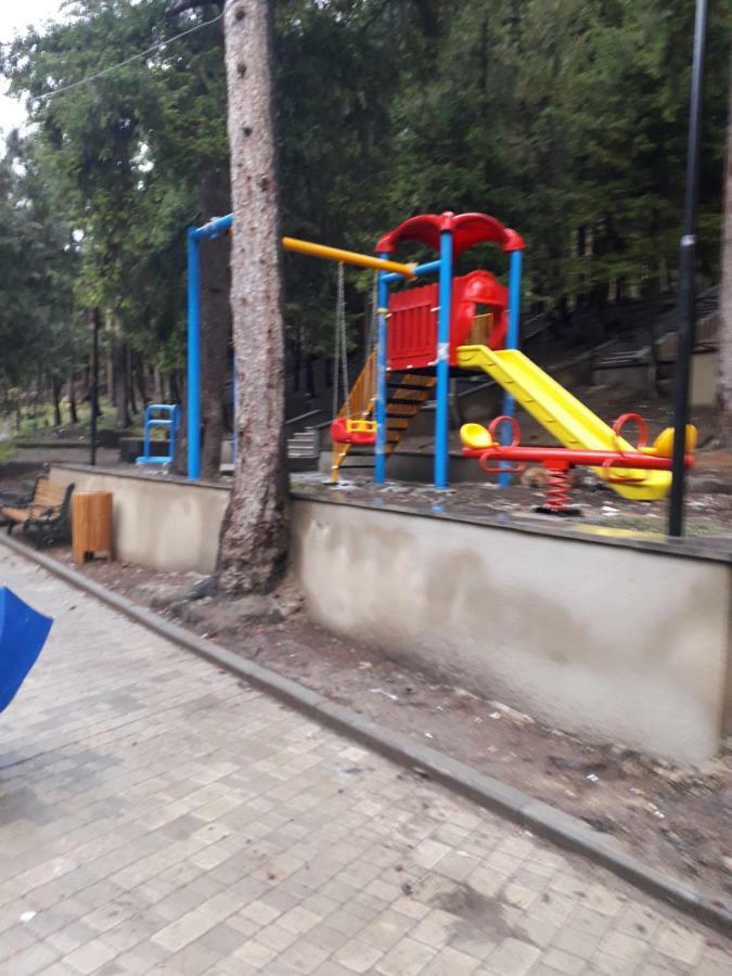Alena'S Flat Apartment Borjomi ภายนอก รูปภาพ
