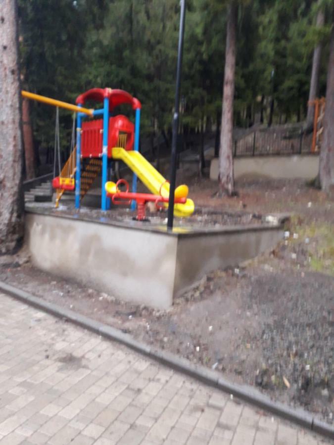 Alena'S Flat Apartment Borjomi ภายนอก รูปภาพ