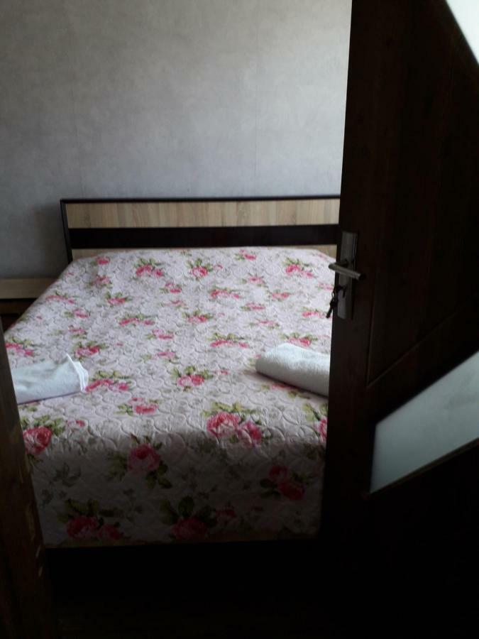 Alena'S Flat Apartment Borjomi ภายนอก รูปภาพ
