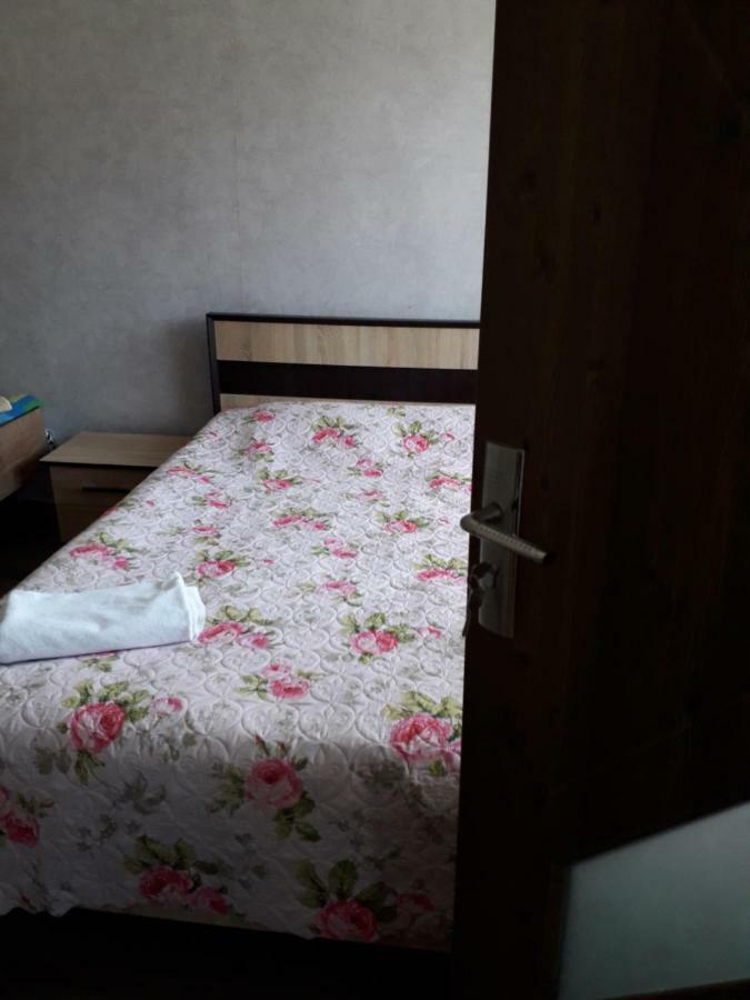 Alena'S Flat Apartment Borjomi ภายนอก รูปภาพ